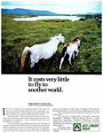 AER Lingus 1966 1.jpg